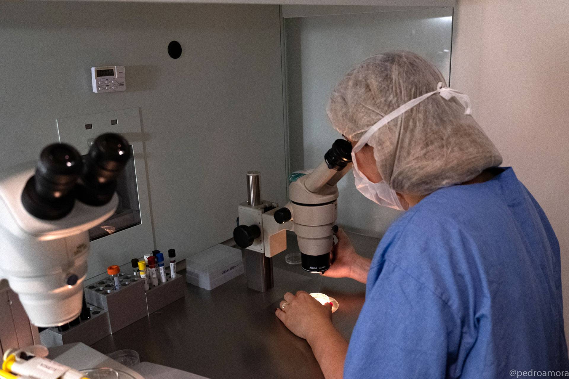 Laboratório Fertilização In Vitro